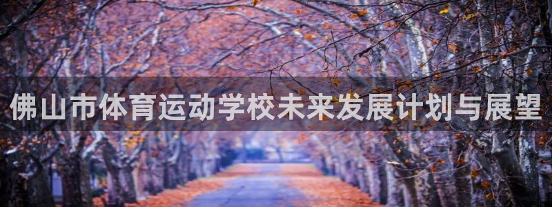熊猫体育v3.新网页.org：佛山市体育运动学校未来发展计划与展望