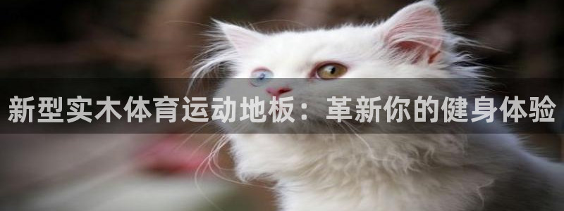 熊猫体育app官方下载最新版：新型实木体育运动地板：革新你的健身体验