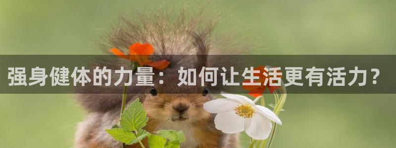 熊猫体育怎么样：强身健体的力量：如何让生活更有活力？