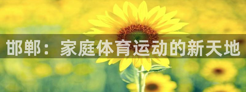 熊猫体育网址：邯郸：家庭体育运动的新天地