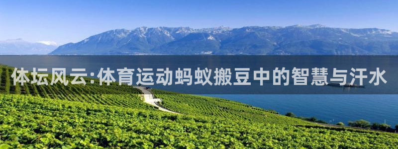 熊猫体育：体坛风云:体育运动蚂蚁搬豆中的智慧与汗水